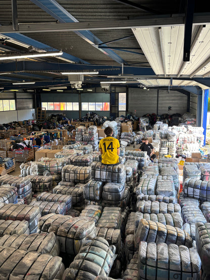 RACCOLTA FISICA 🏭 (Senza limiti di tempo)